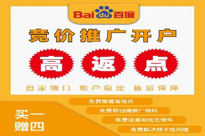 实战技巧：竞价推广案例解析与优化策略
